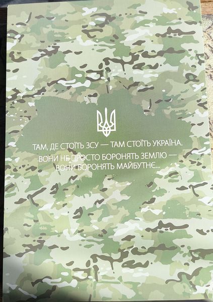 Альбом для монет номиналом 10 гривен из серии &laquo;Вооружённые Силы Украины&raquo;, Украина 2022&ndash;2025, ВСУ, 13 монет (капсулы в подарок) 3095208145 фото