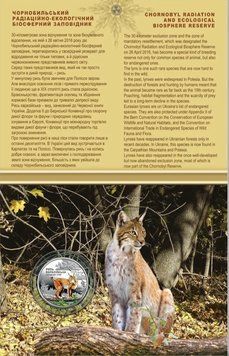 Монета Чорнобиль. Відродження. Рись євразійська 5 грн (у сувенірному пакуванні)) 2769575589 фото