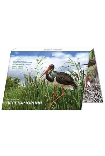 Монета Чорнобиль. Відродження. Лелека Чорний 5 грн (у сувенірному пакуванні) 2769575771 фото