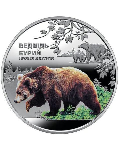 Монета &laquo;Чернобыль. Возрождение. Медведь бурый&raquo; 5 гривен (в сувенирной упаковке) 3137815174 фото